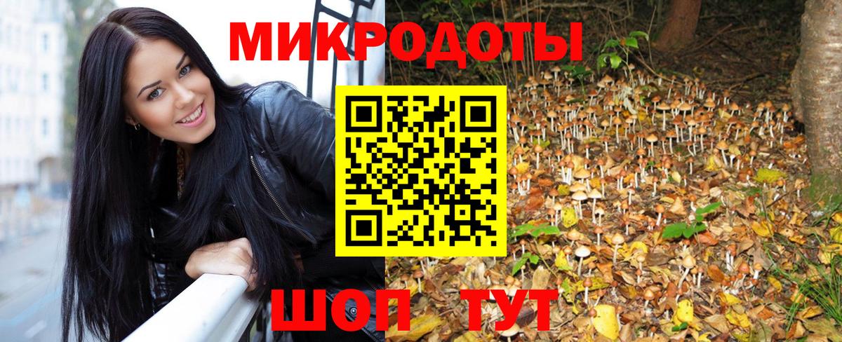 Псилоцибиновые грибы прущие грибы Екатеринбург